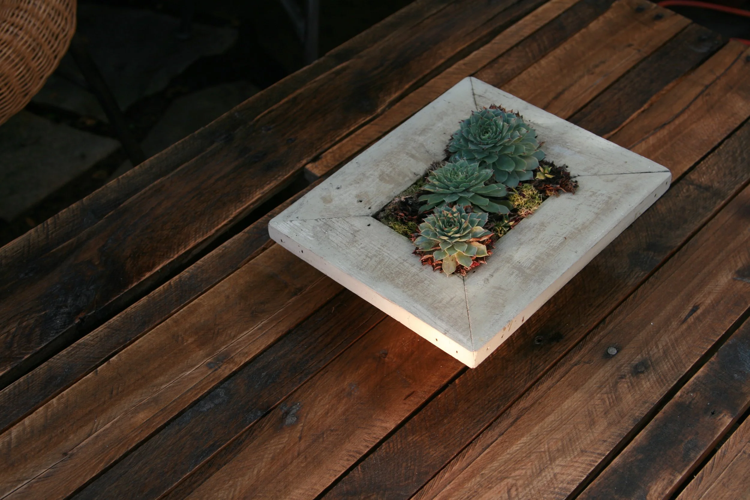 frame2.jpg