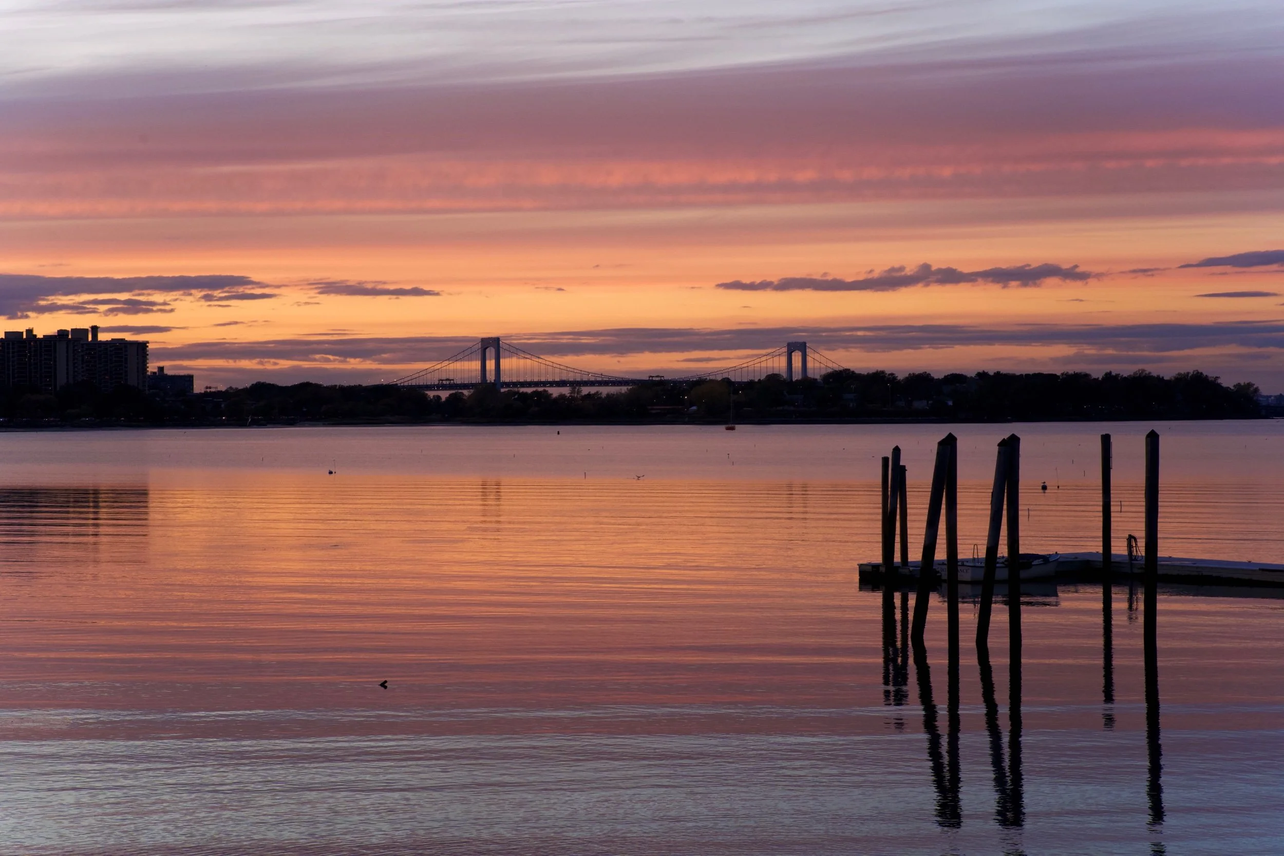 DSC02949 Edited.jpeg