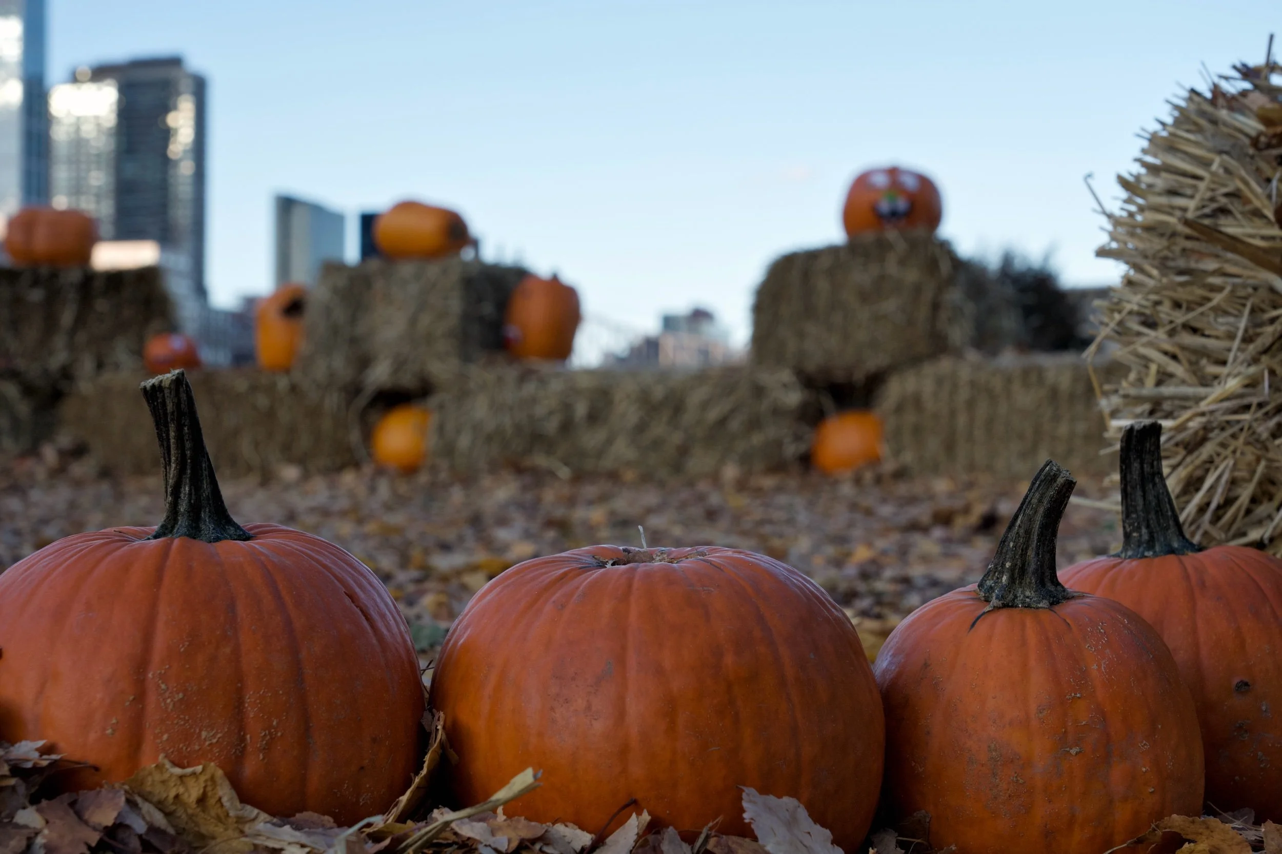 DSC05640 Edited.jpeg