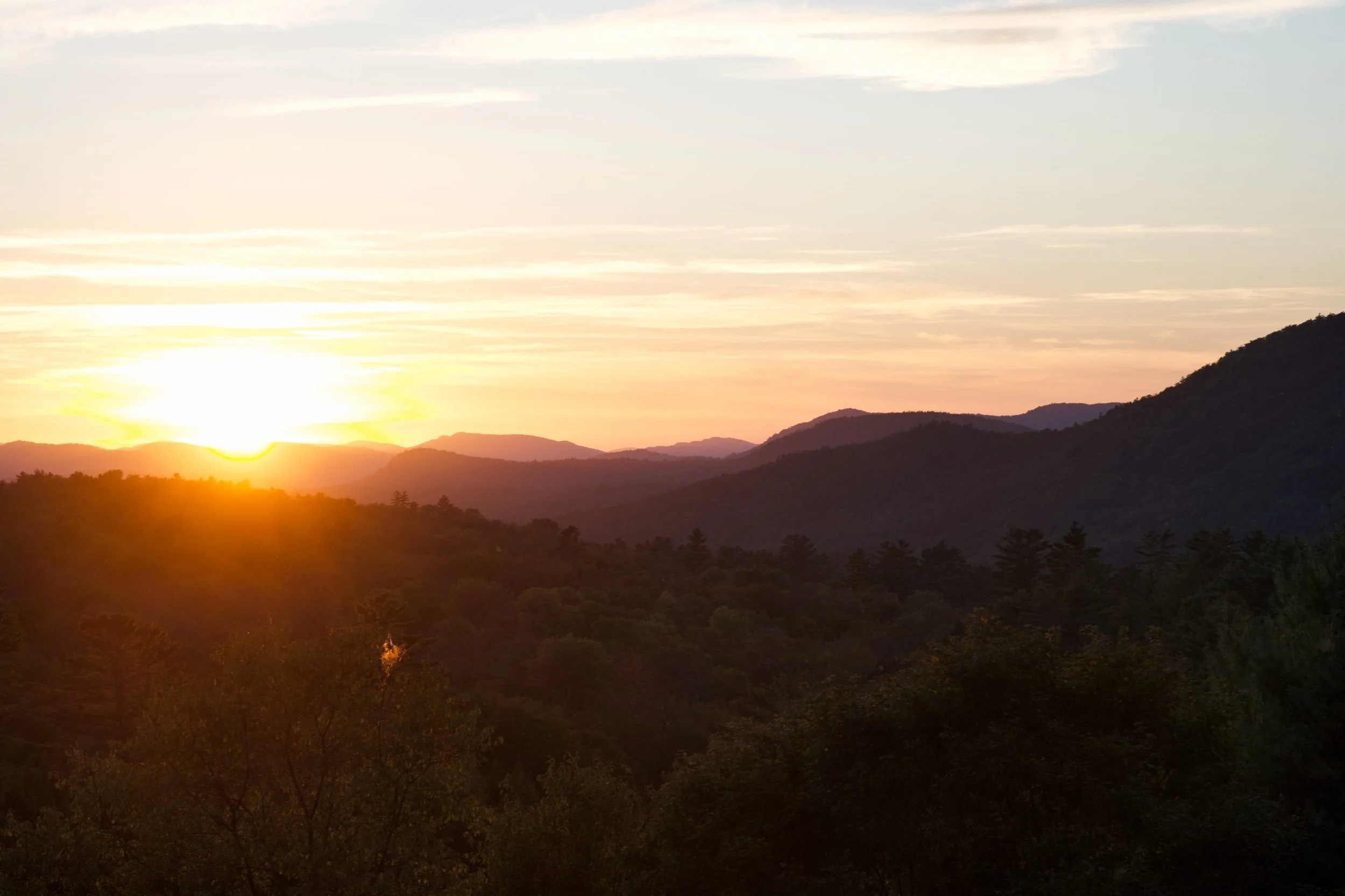 DSC00819 Edited.jpeg