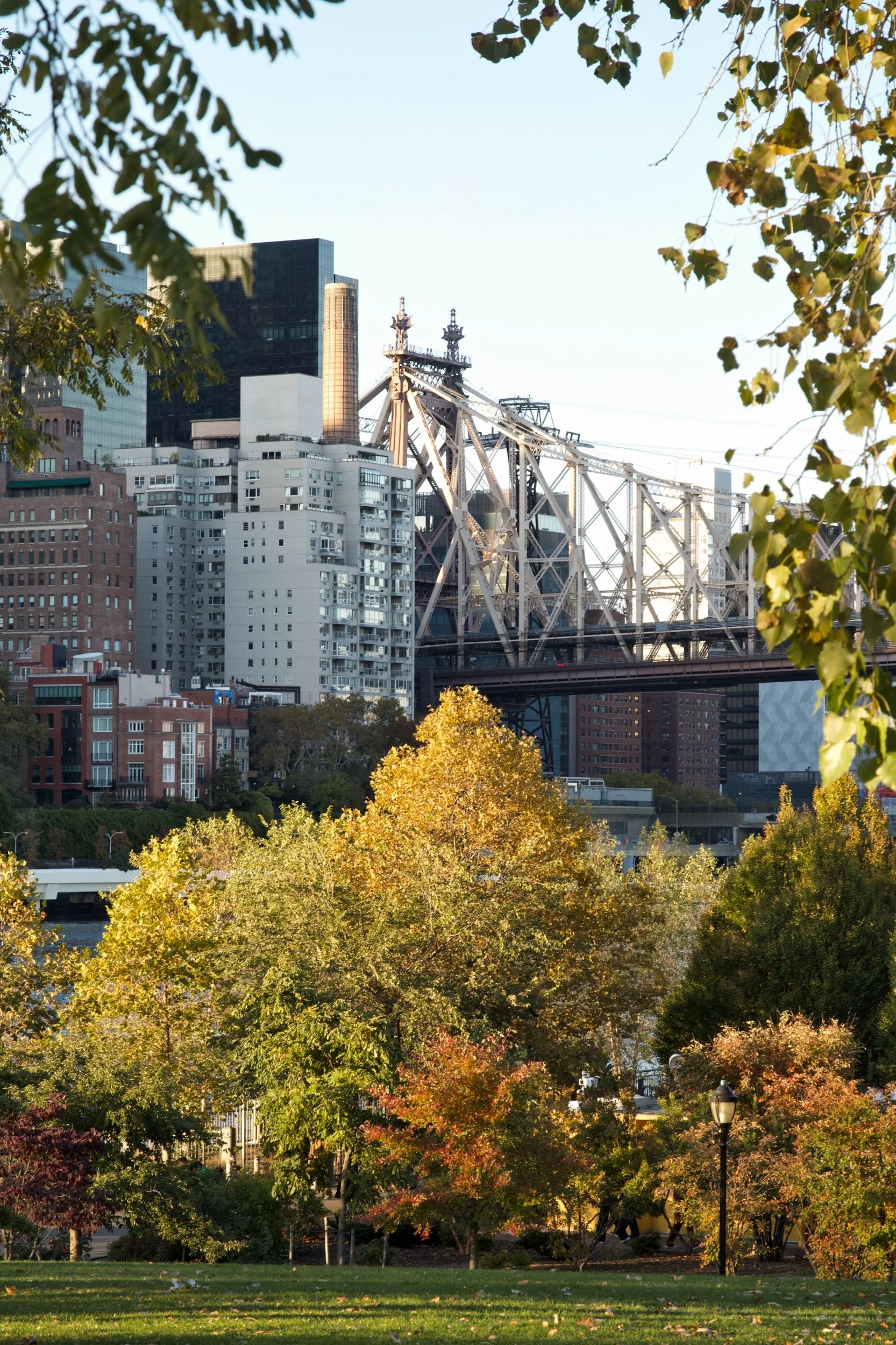 DSC05704 Edited.jpeg