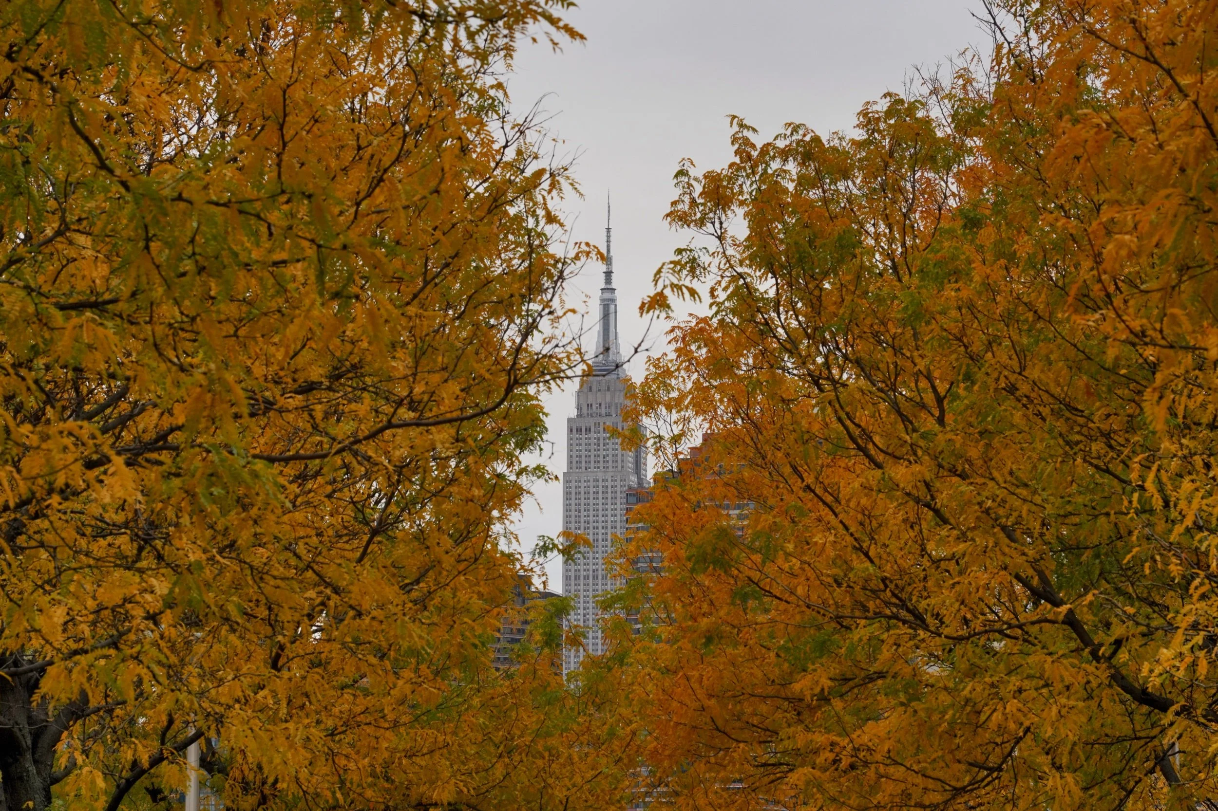 DSC05896 Edited.jpeg