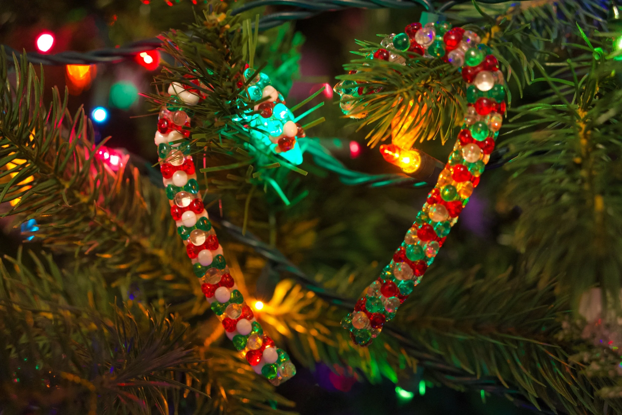 DSC01268 Edited.jpeg