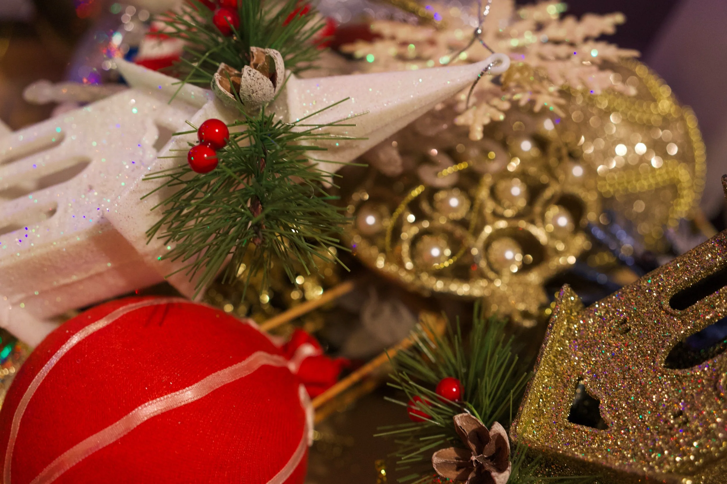 DSC01203 Edited.jpeg