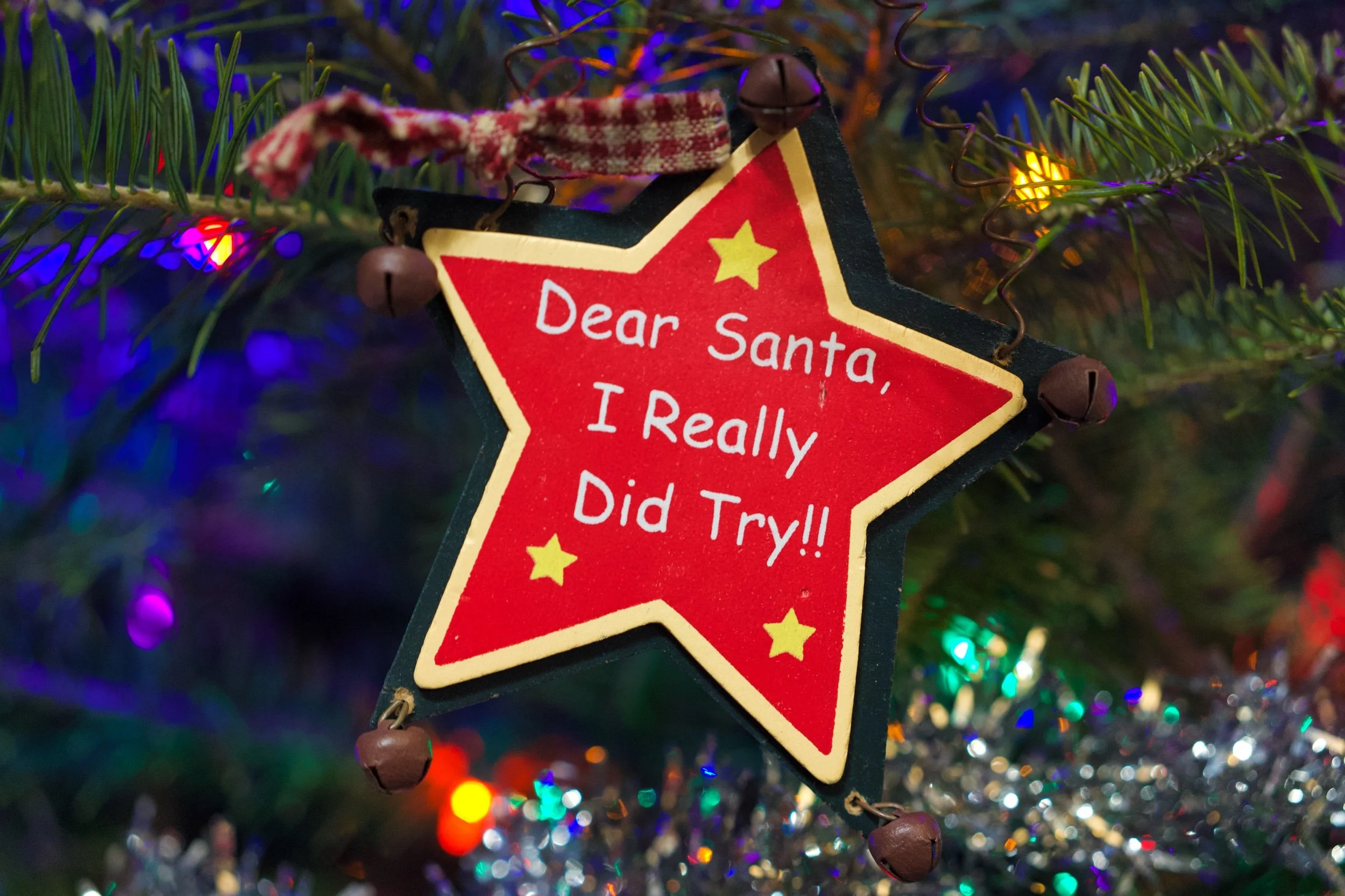 DSC00976 Edited.jpeg