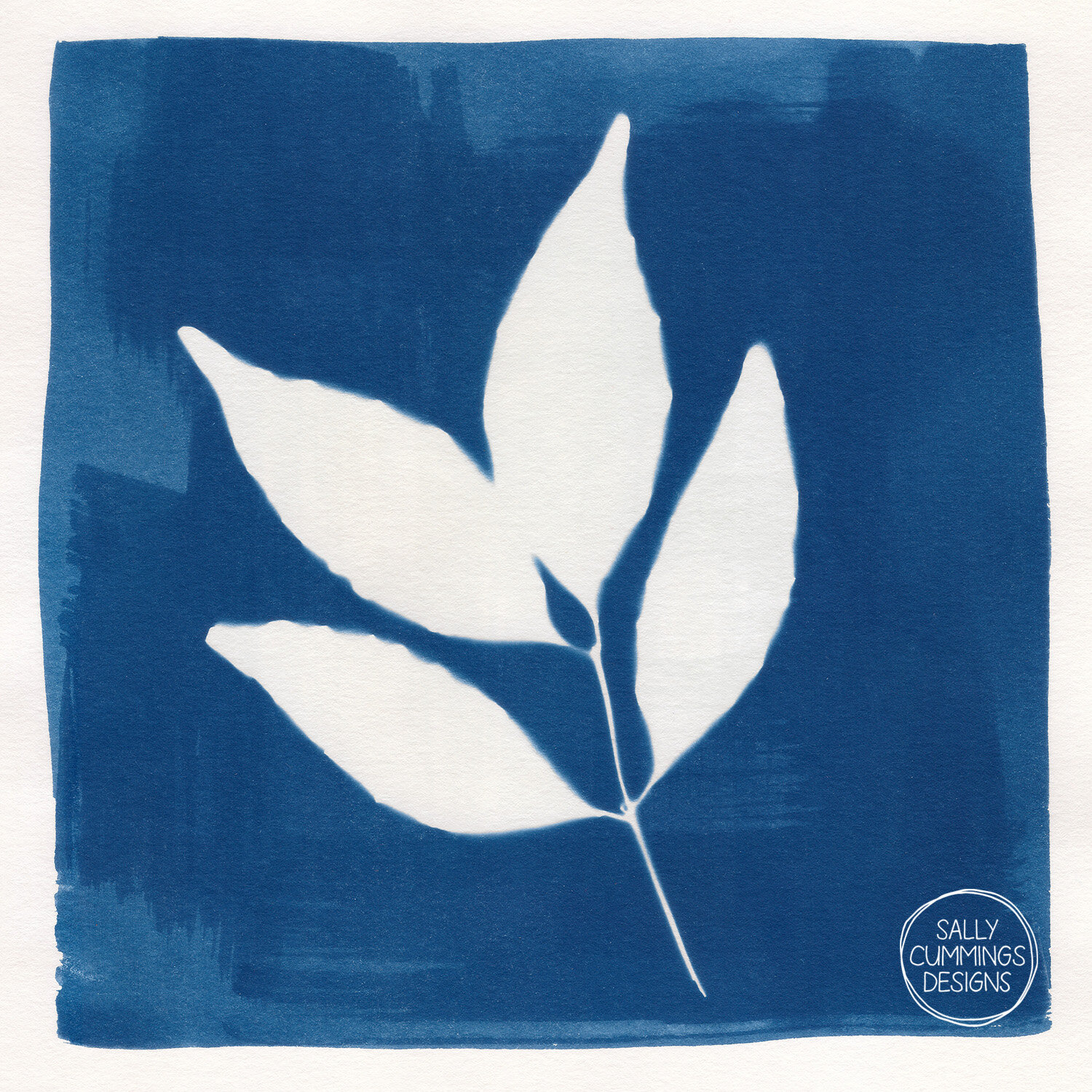 Cyanotype Print - Eucalypt Leaves