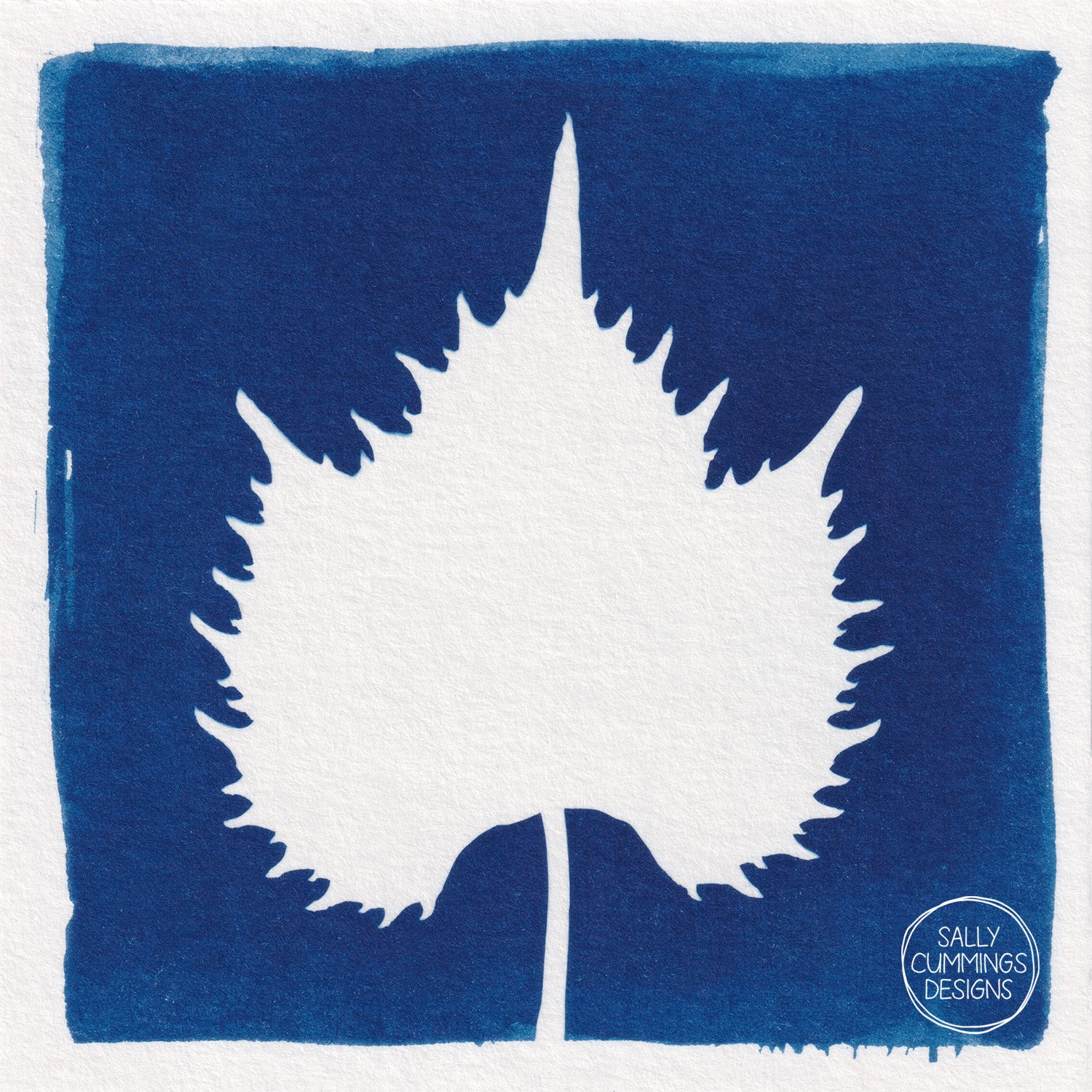 Cyanotype Print - Grape Vine Leaf