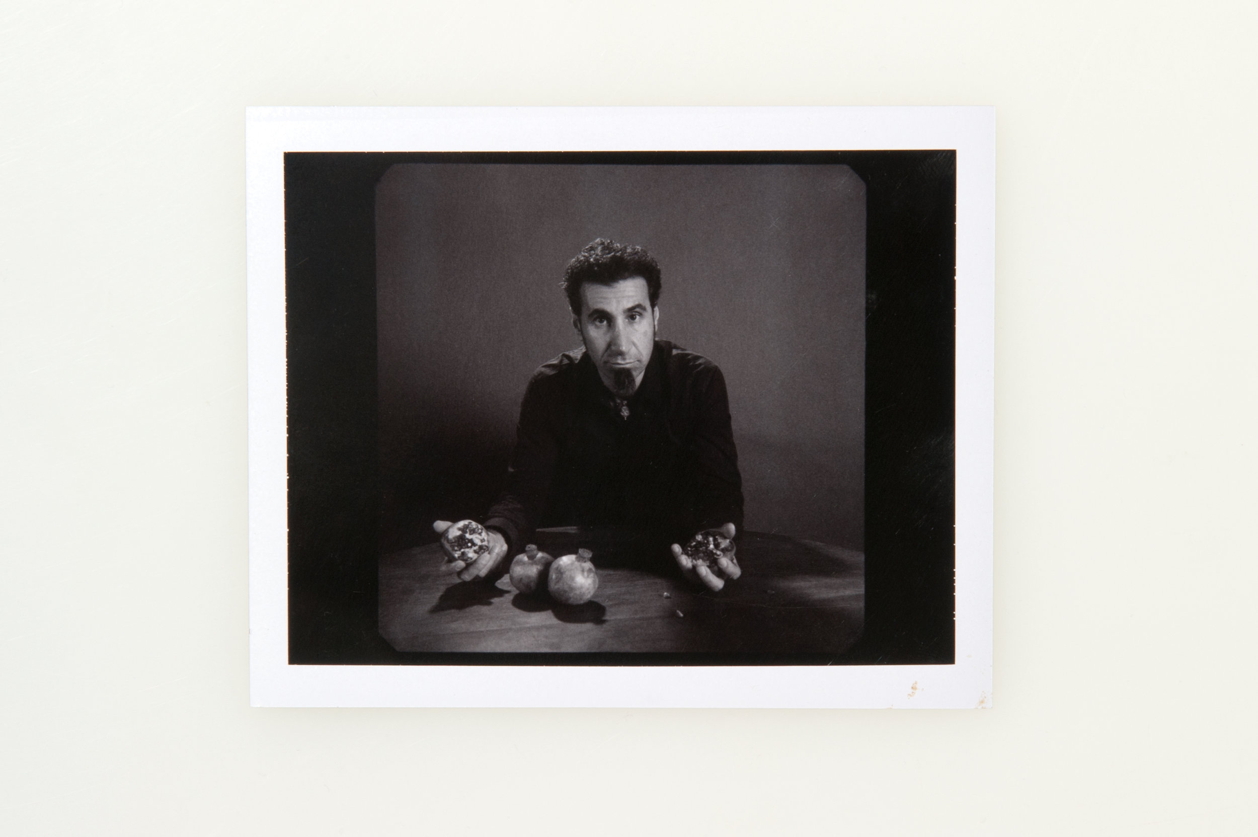 Serj Tankian - Polaroid Type 664