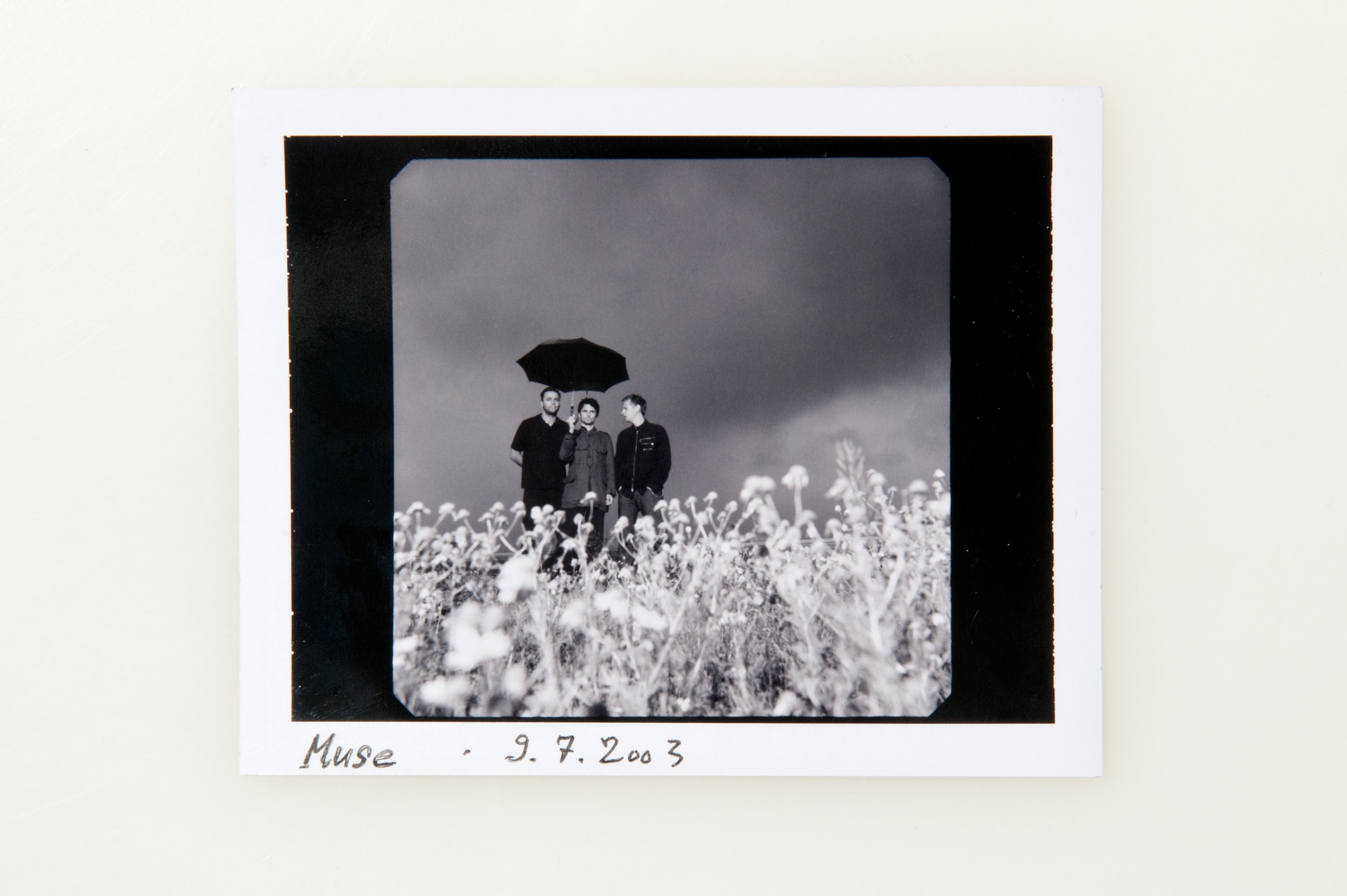 Polaroid Type 664