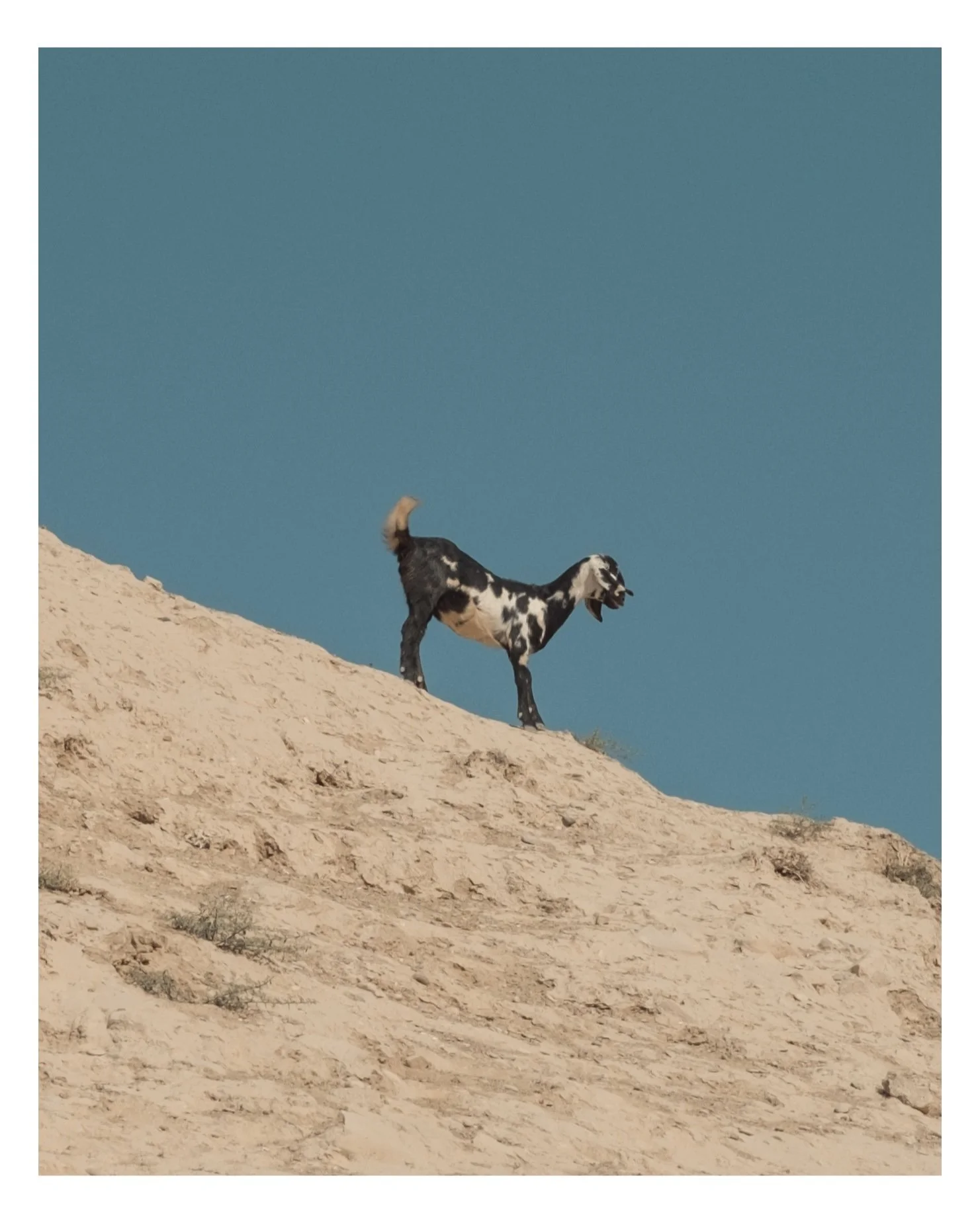 E042F378-0333-497A-806D-55D35F8455B2 3.JPG