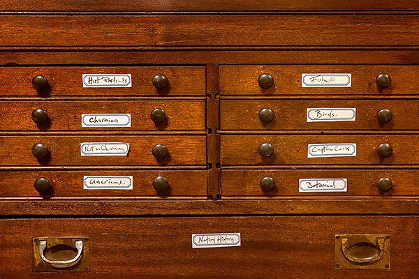 Discover the past in drawers of antique prints 