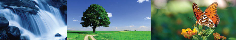 project5-banner.jpg