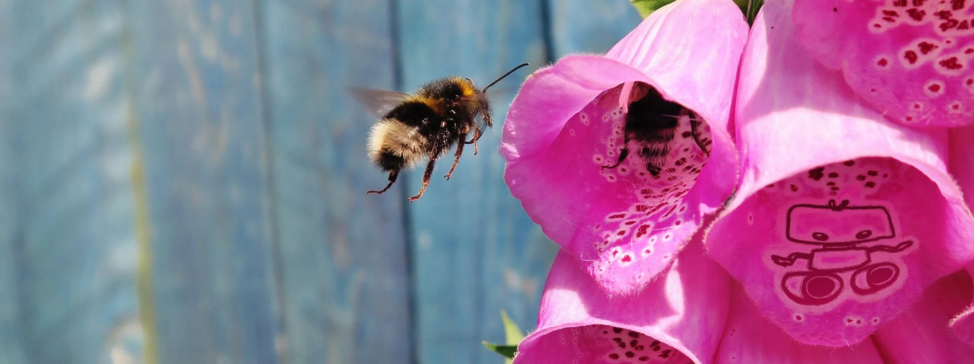 small-robot-bees.jpg