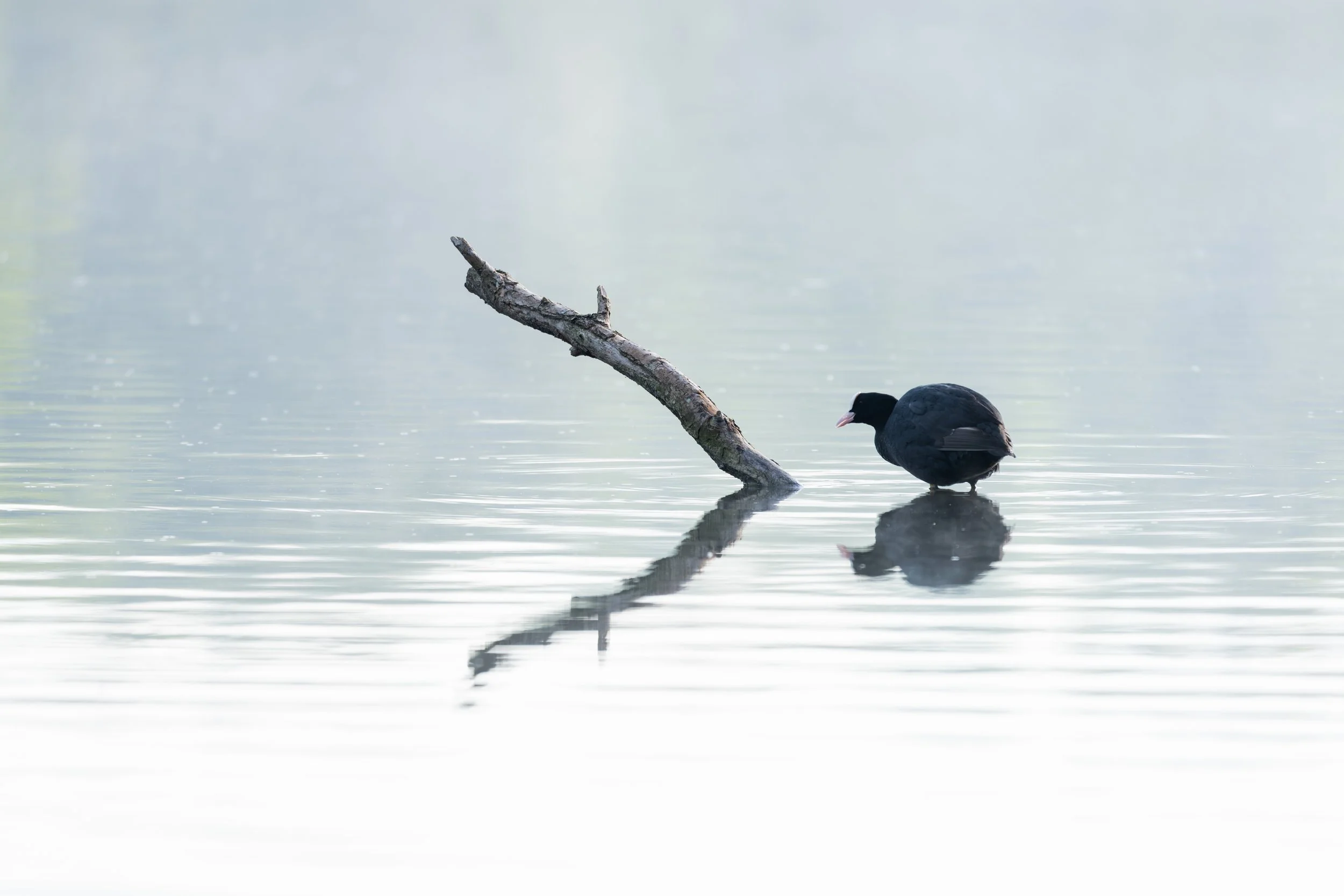 _DSC8607-1.jpg
