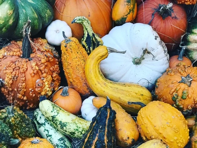 FIRST FRUITS.jpg