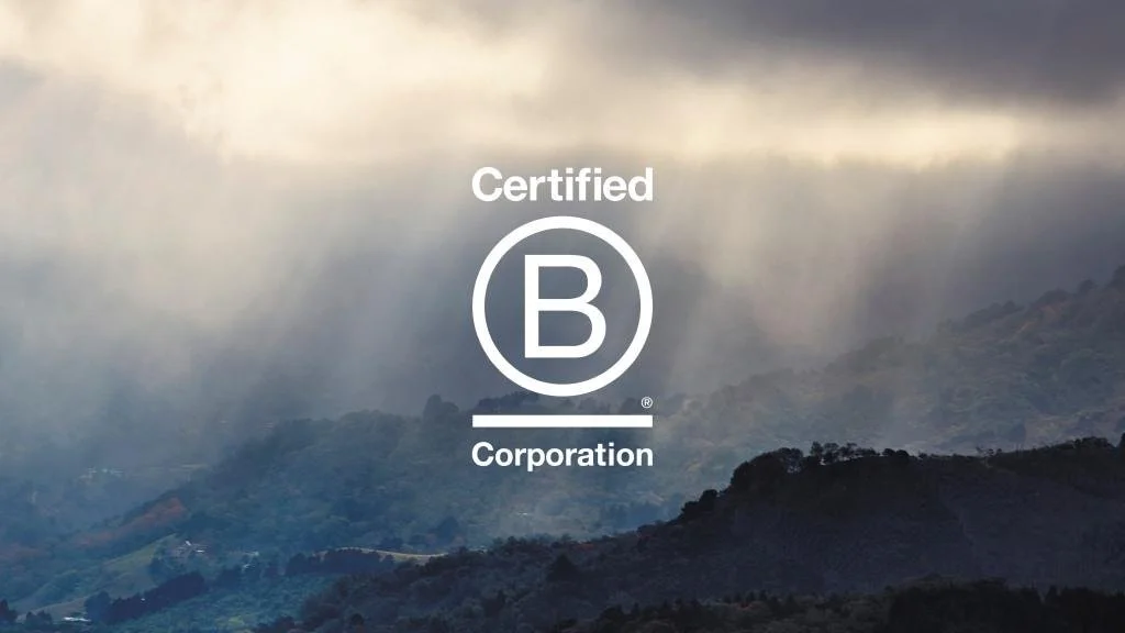 B Corp Month (in the year we became a B Corp)