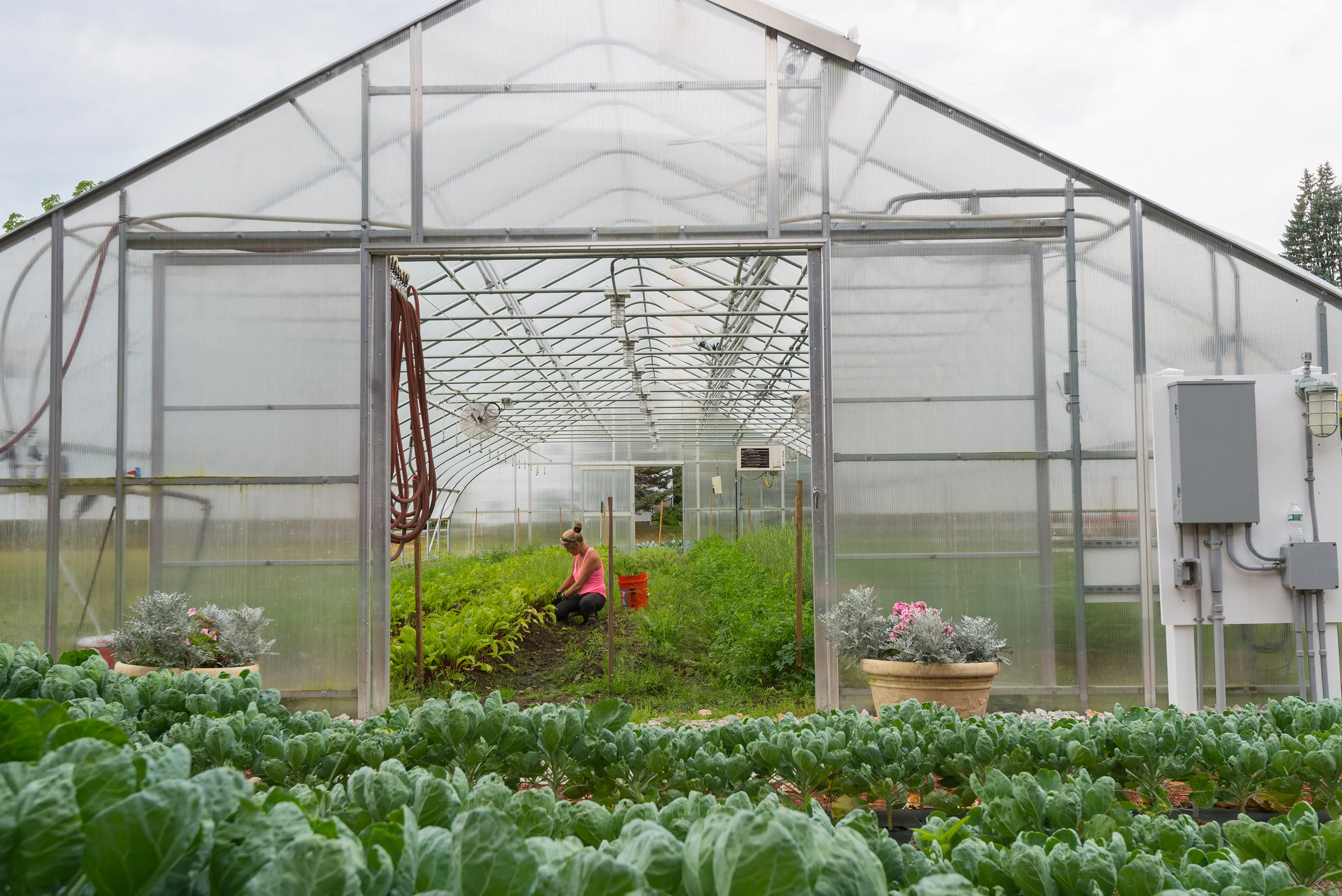 Becky in the Greenhouse.jpg