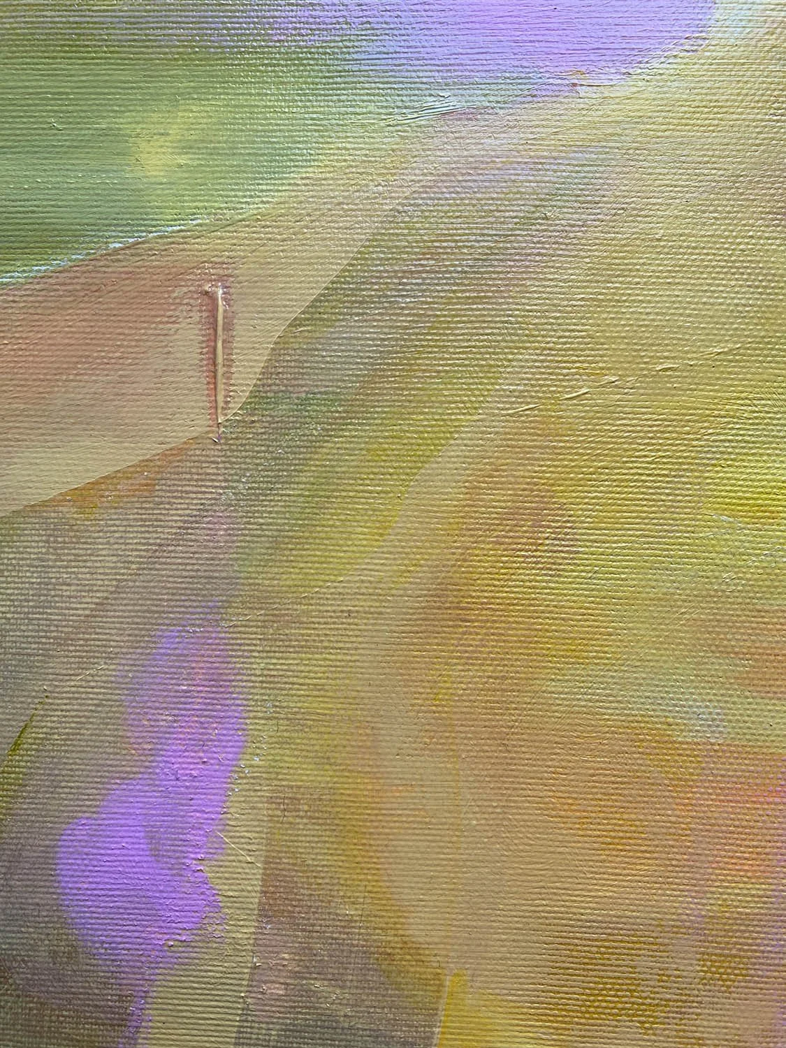 Art Kelly Allison HONEY zoom 3 web.jpg