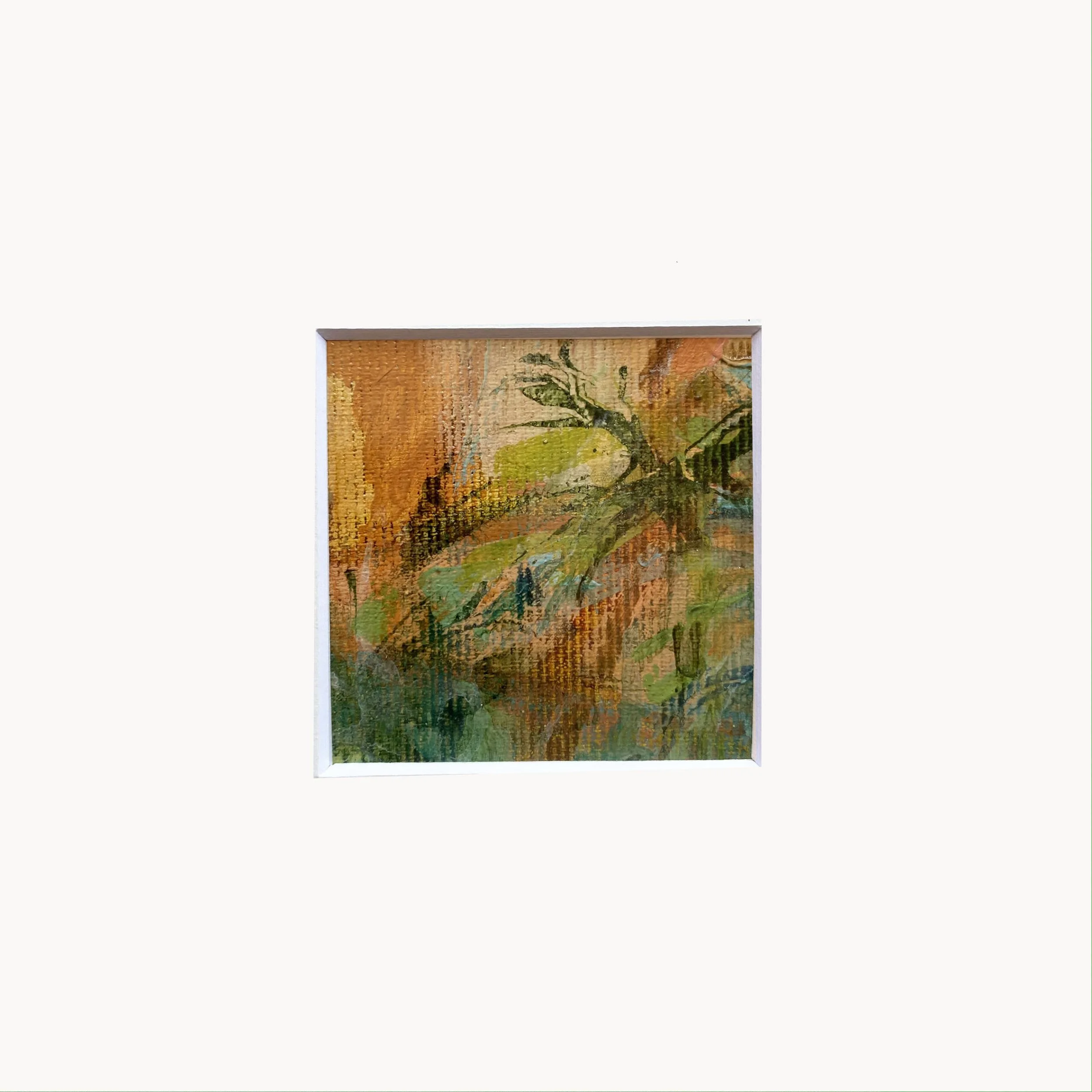 OASIS
