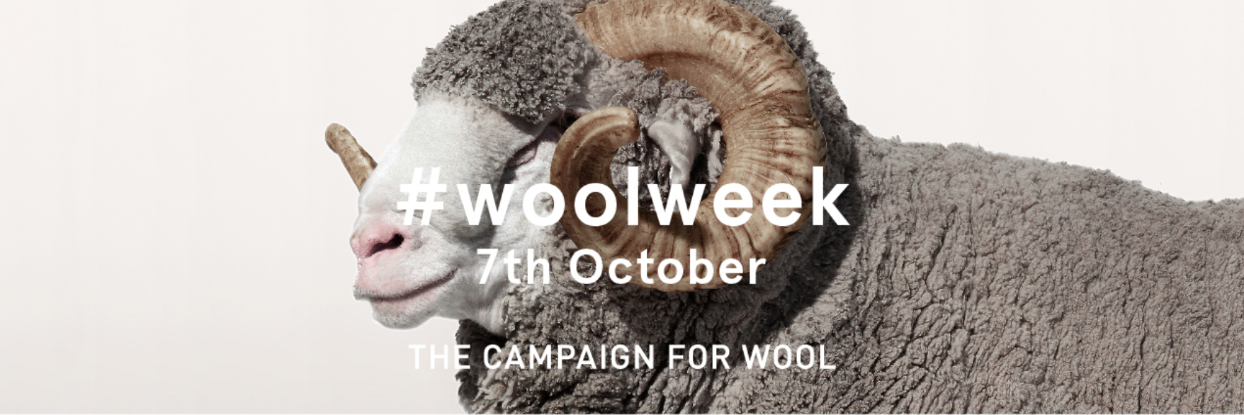 campaignforwool.jpg