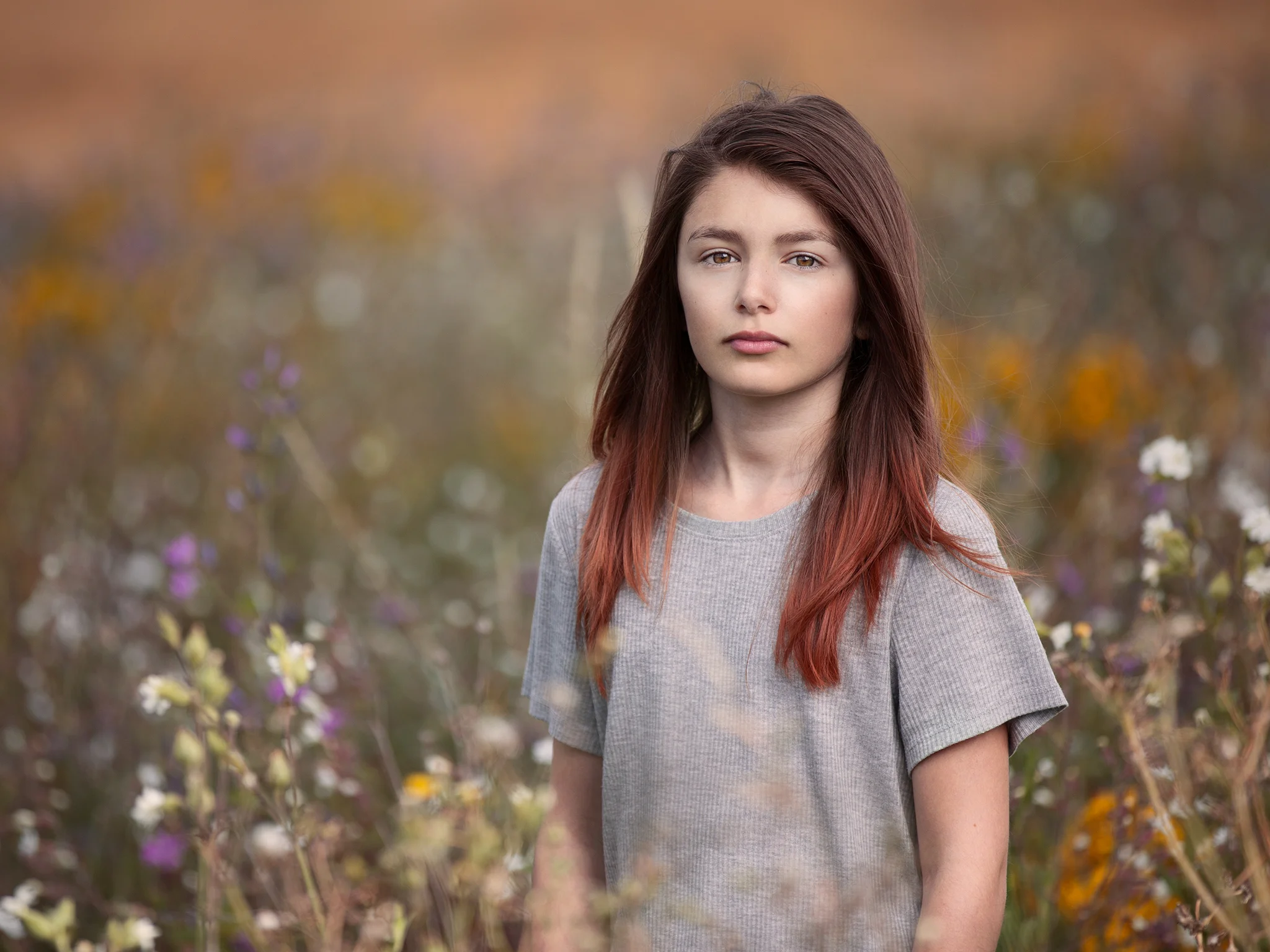 Book Emilie 2015