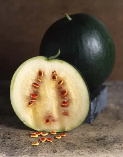 Red-Seeded Citron