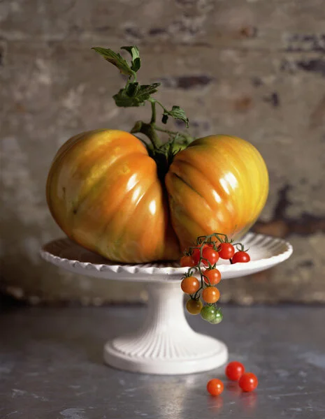 RCML & Red Currant.jpg