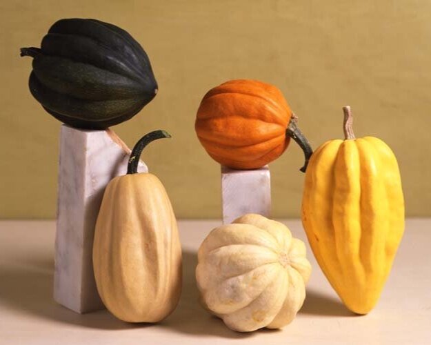Acorn+Group.jpg
