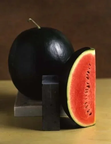 "Still Life" at Beth Urdang Gallery, Wellesley, MA