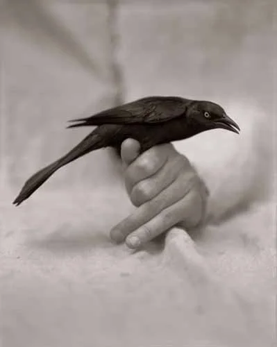 Photographs on exhibit at Morgan Library and Museum, New York