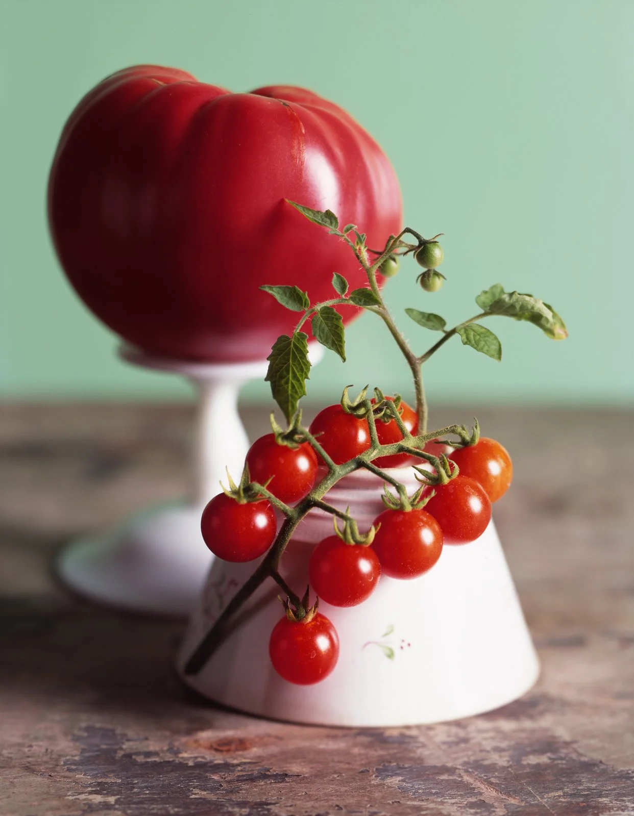 African Queen and Wild Sweetie.jpg