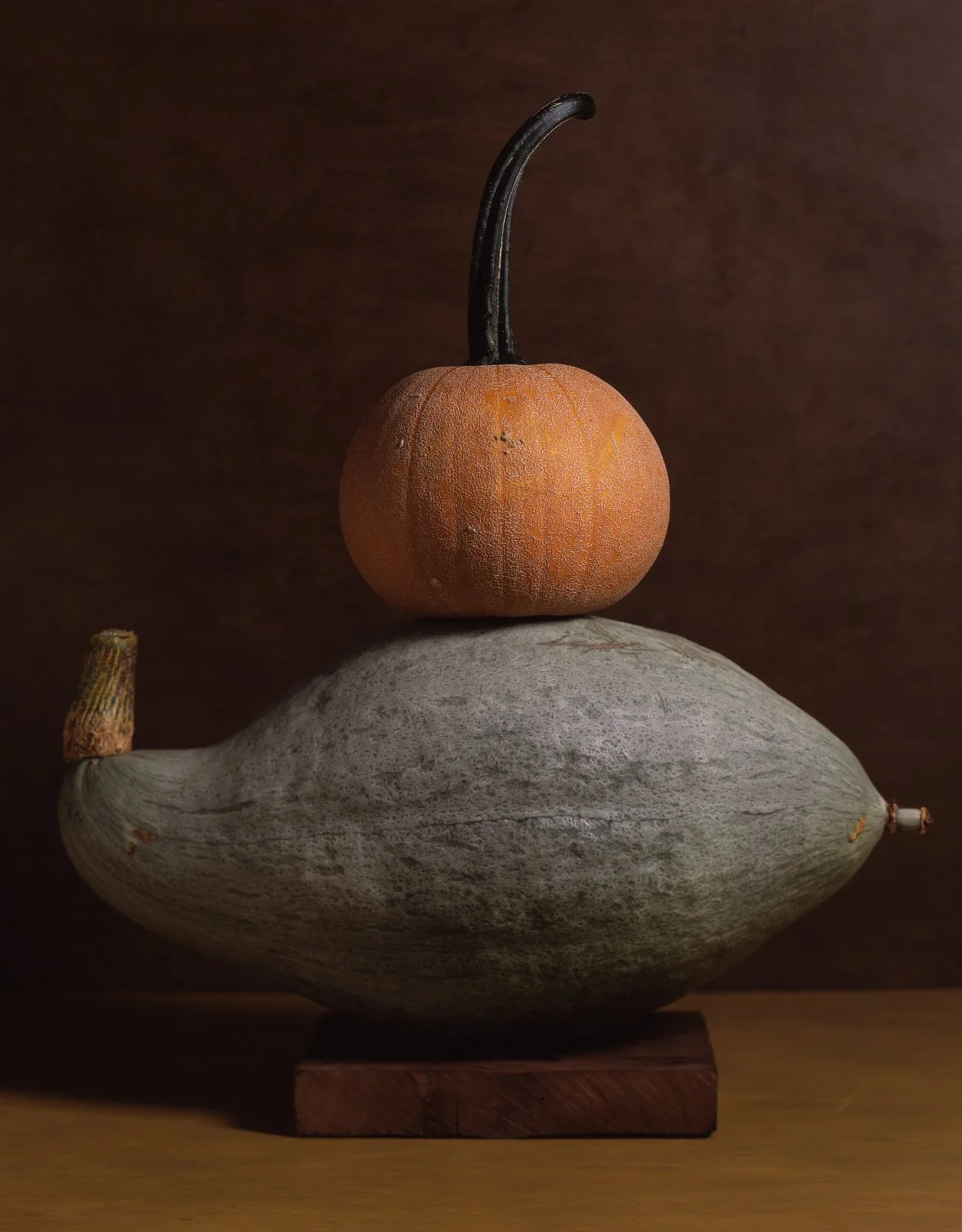 Winter Luxury Pie & Gill's Sugar Hubbard.jpg