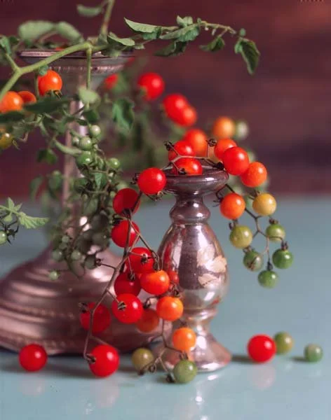 RedCurrant.jpg