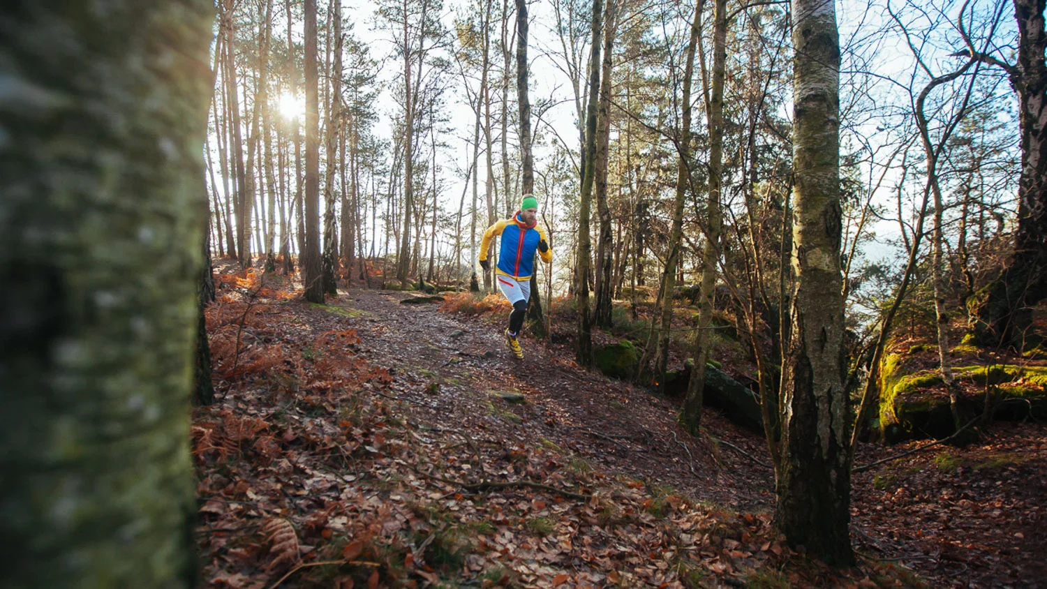 Trail-Running-Säsische-Schweiz_Königsstein-Wald-1.jpg