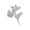 minimark1.png