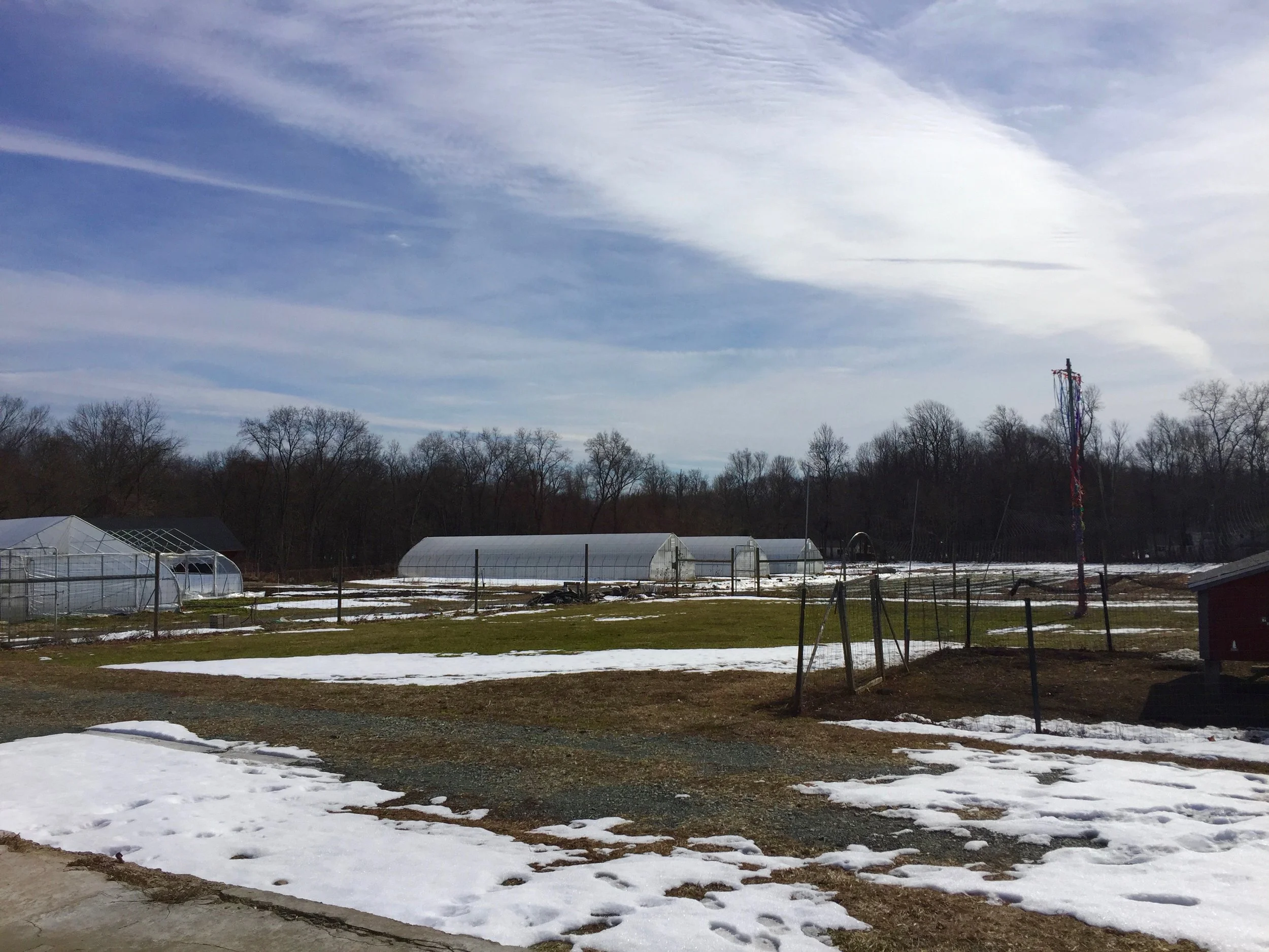 The unusually warm February temperatures this year (hitting up into the 60's!!) has got the snow melting away, and the preparations for spring seedlings happening.