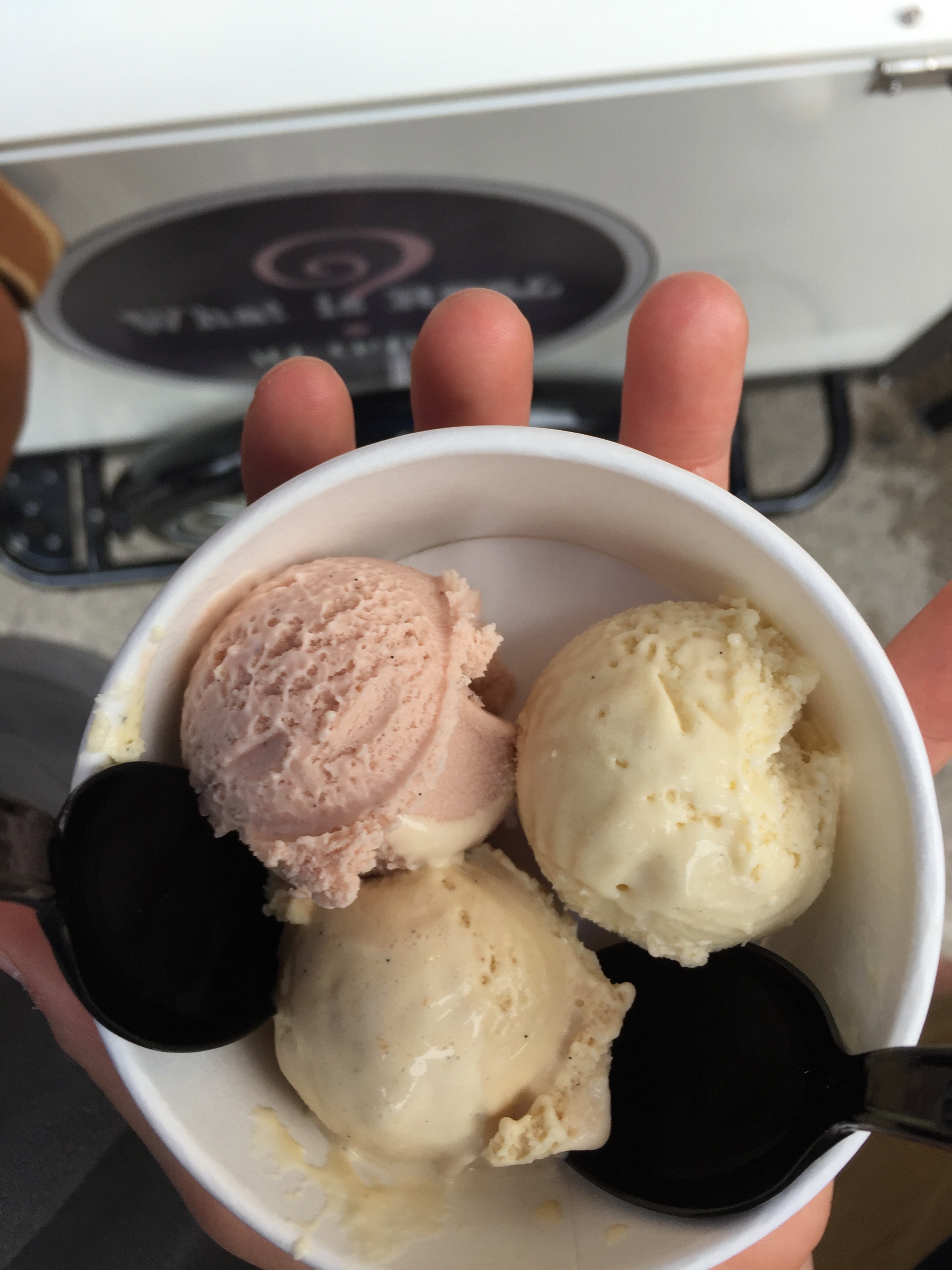 The Superlicious Ice Cream Trail of New Haven, CT (and beyond) 2017