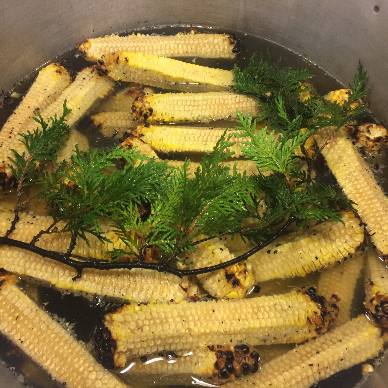 Corn Cob Cedar Broth (1).jpg