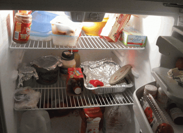 Inside the Refrigerator - Emily E.