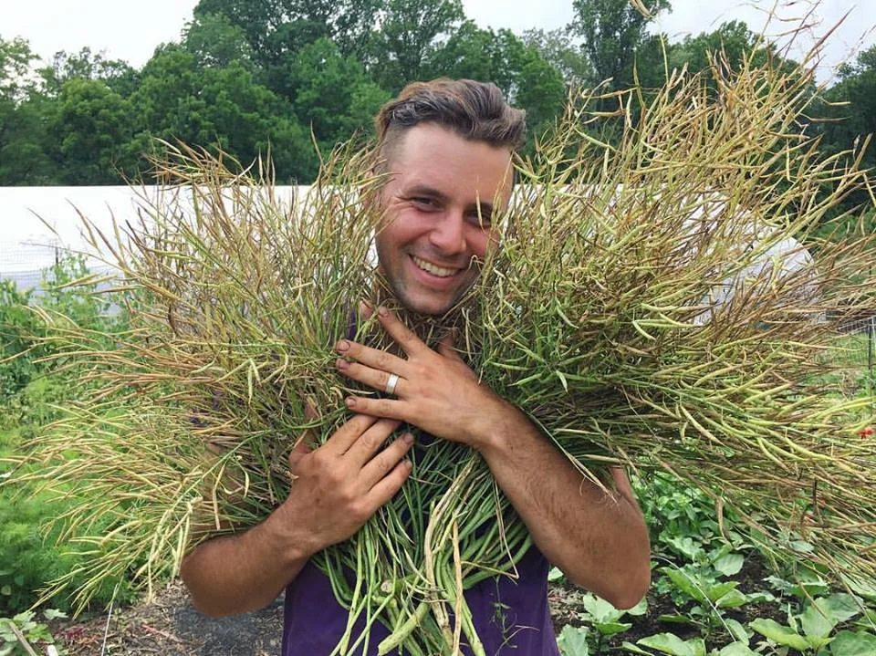 Owen Taylor with broccoli rabe plants plump with seeds.
