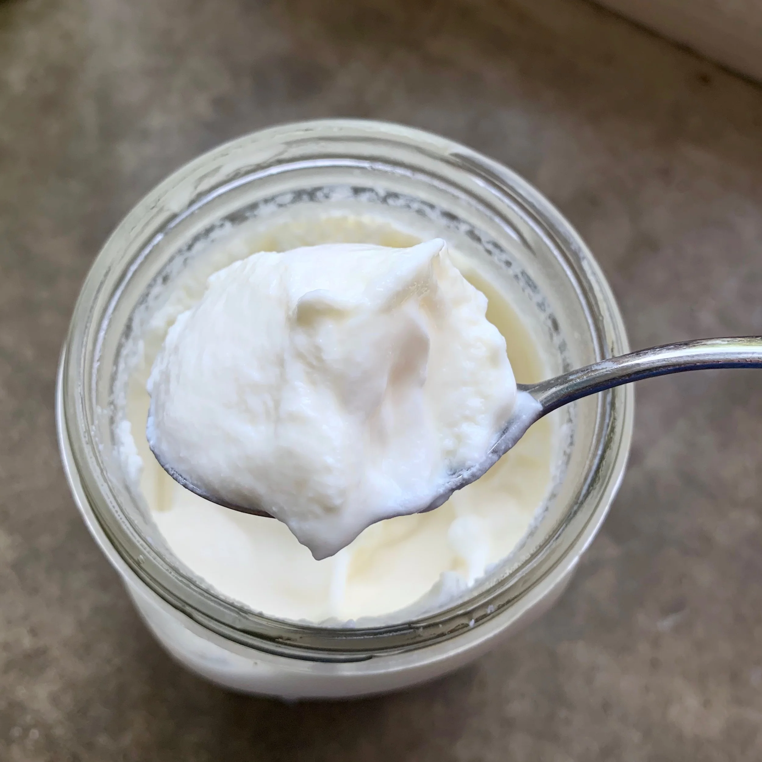 Easy Homemade Yogurt — THE TABLE UNDERGROUND