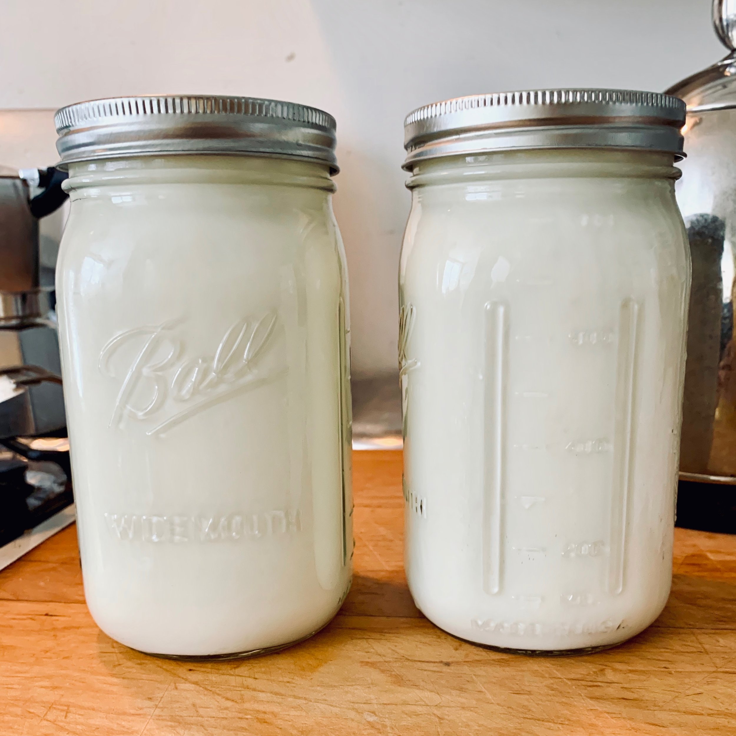 Easy Homemade Yogurt — THE TABLE UNDERGROUND
