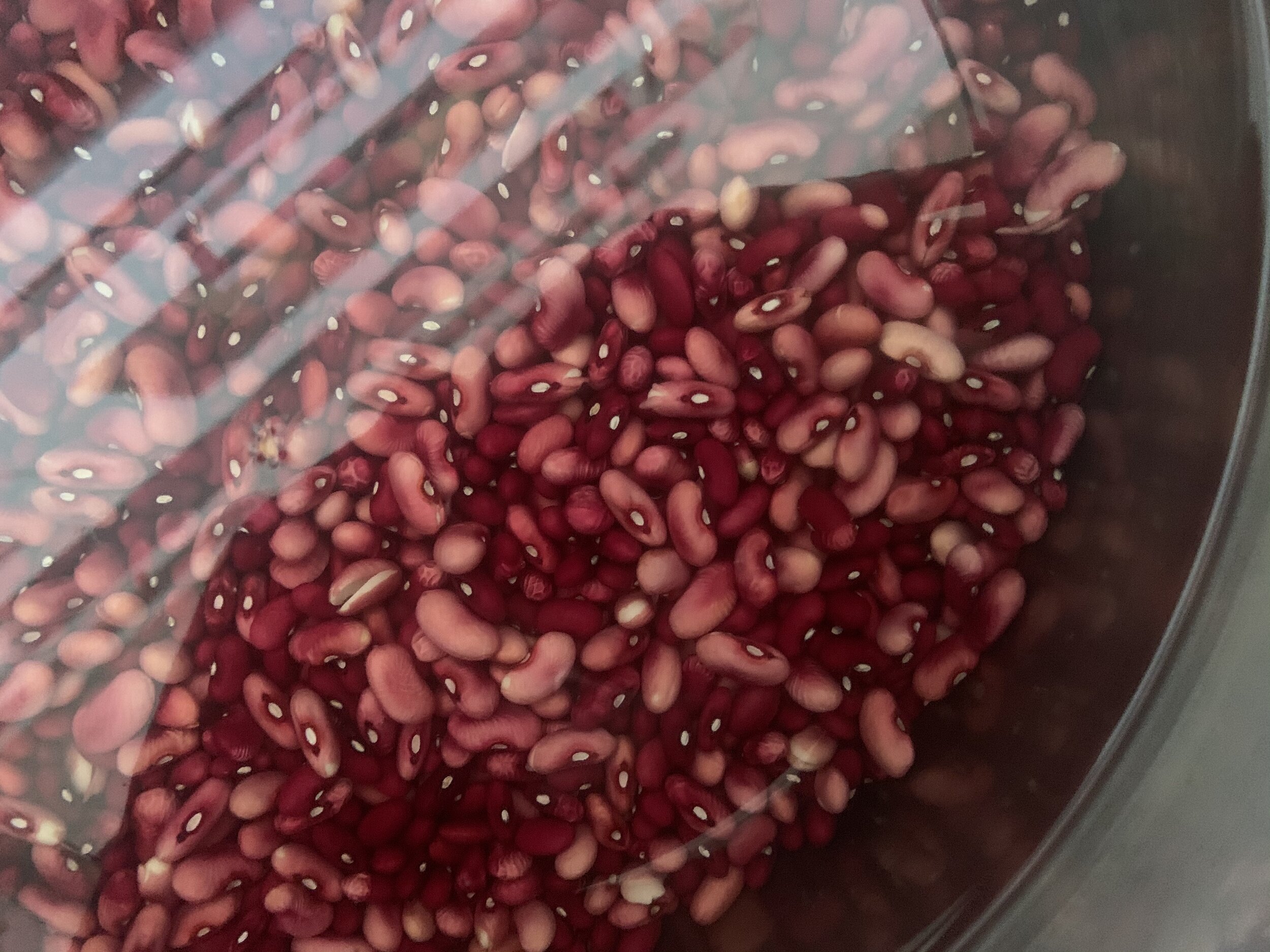 red beans soak close.jpg