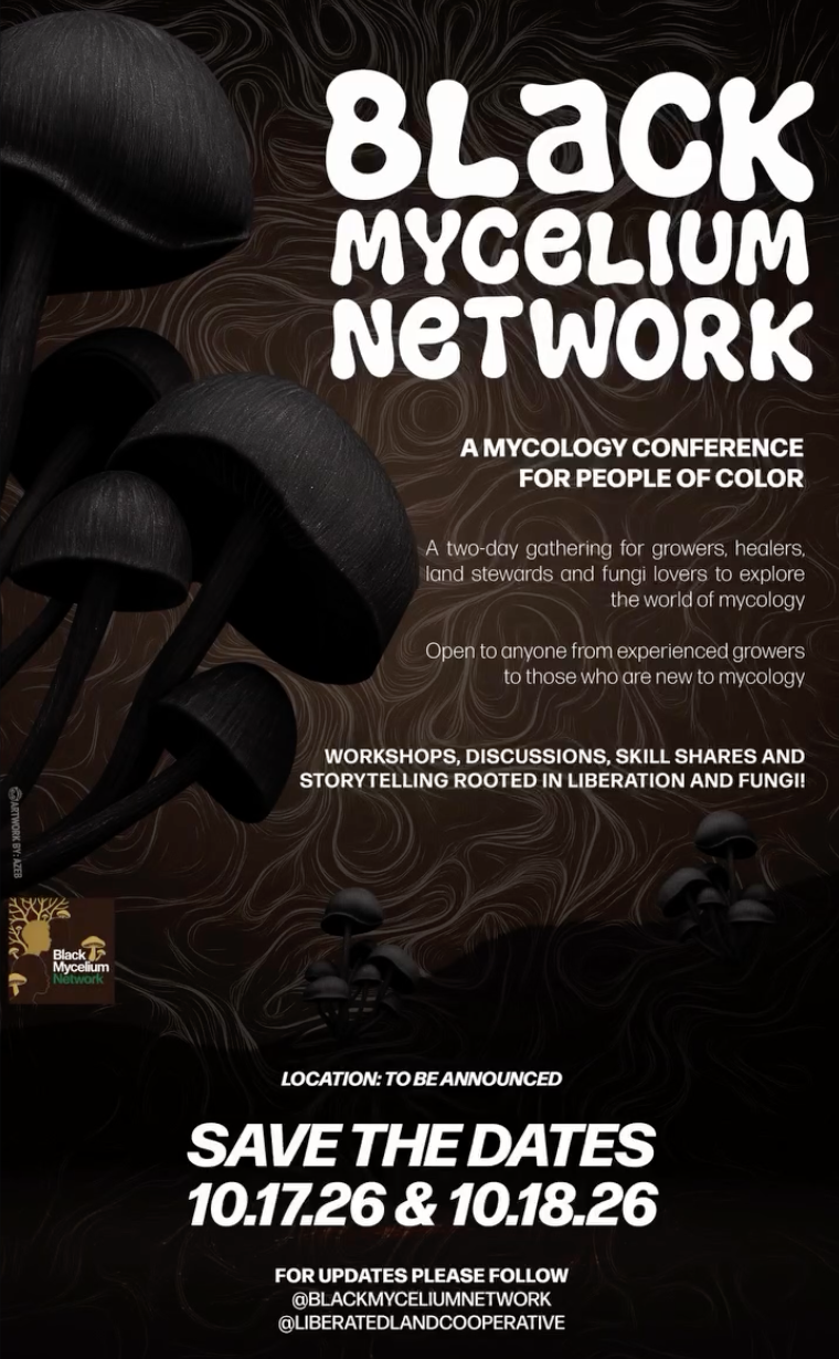 Screenshot 2026-02-02 at 4.20.52 PM.png