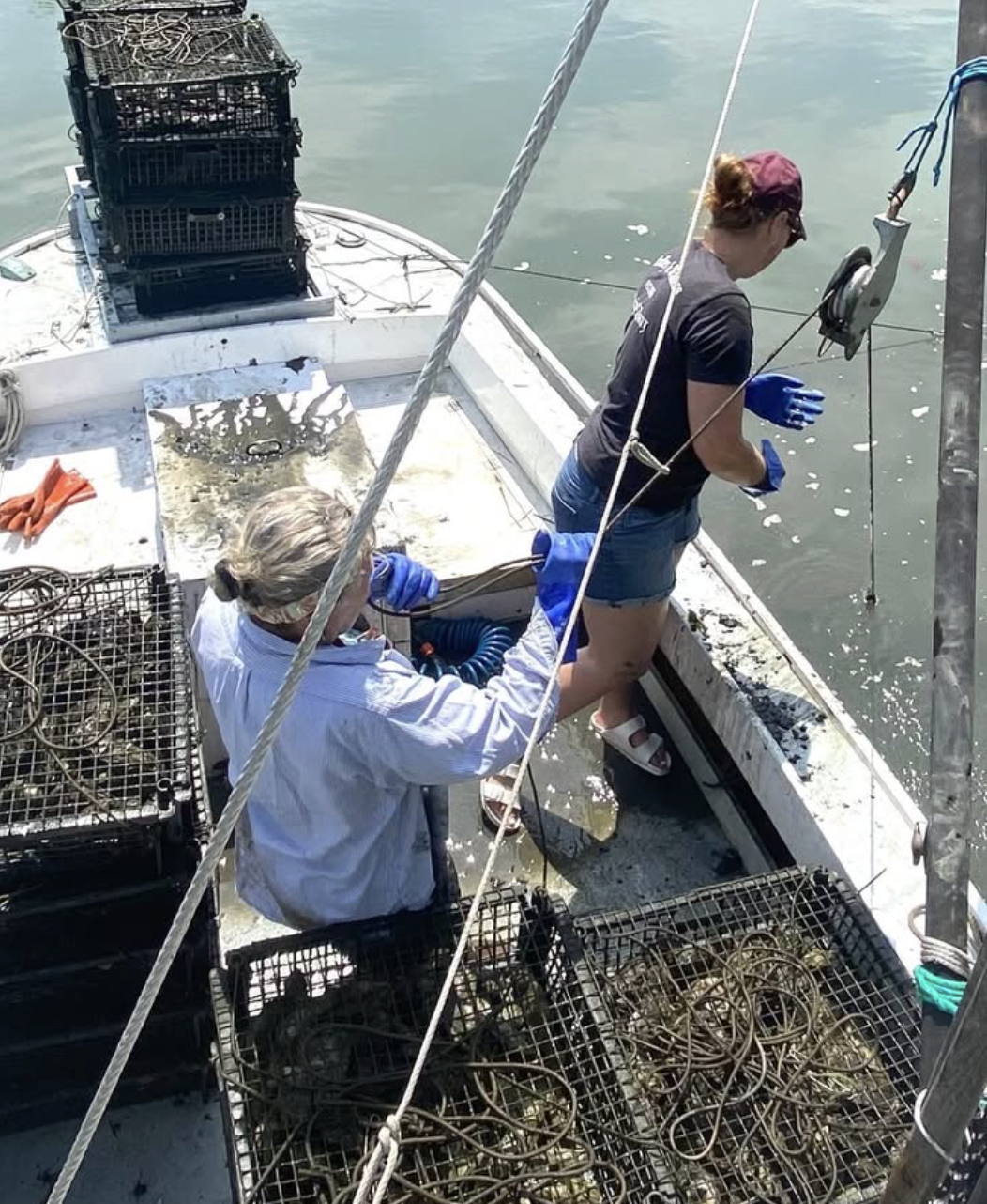 Screenshot 2026-03-30 at 10.01.34 PM.png