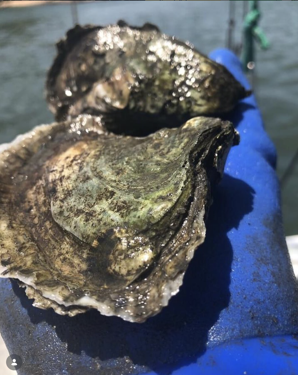 Screenshot 2026-03-30 at 10.02.15 PM.png