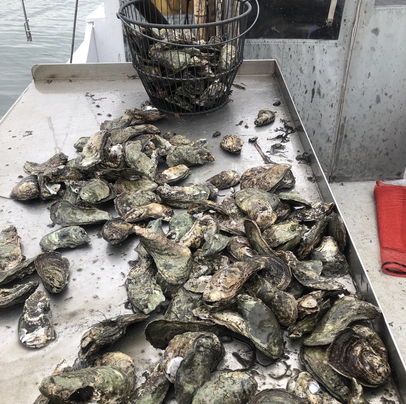 Screenshot 2026-03-30 at 9.58.53 PM.png