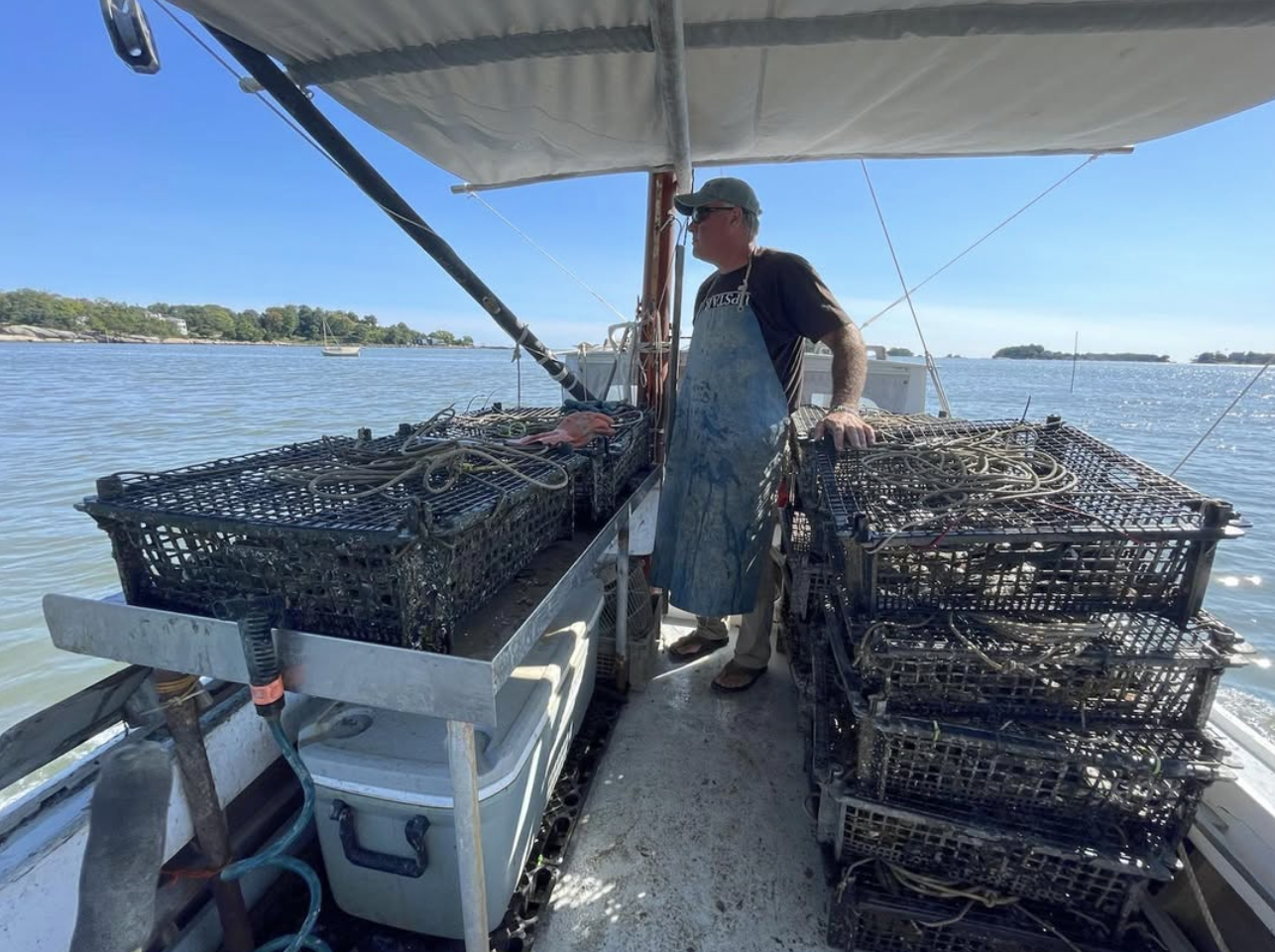 Screenshot 2026-03-30 at 10.02.39 PM.png