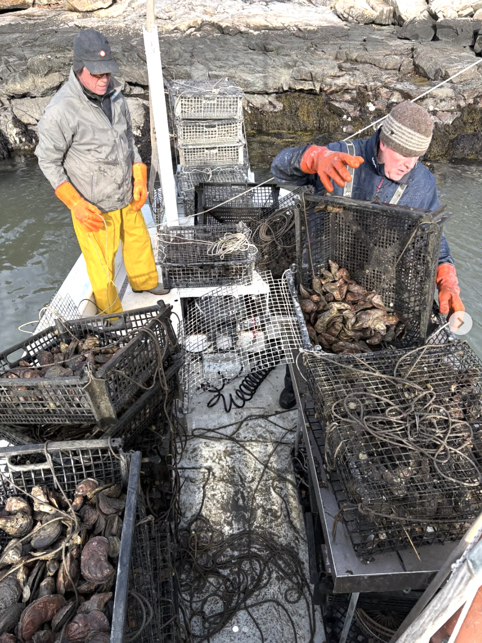 Screenshot 2026-03-30 at 10.04.27 PM.png