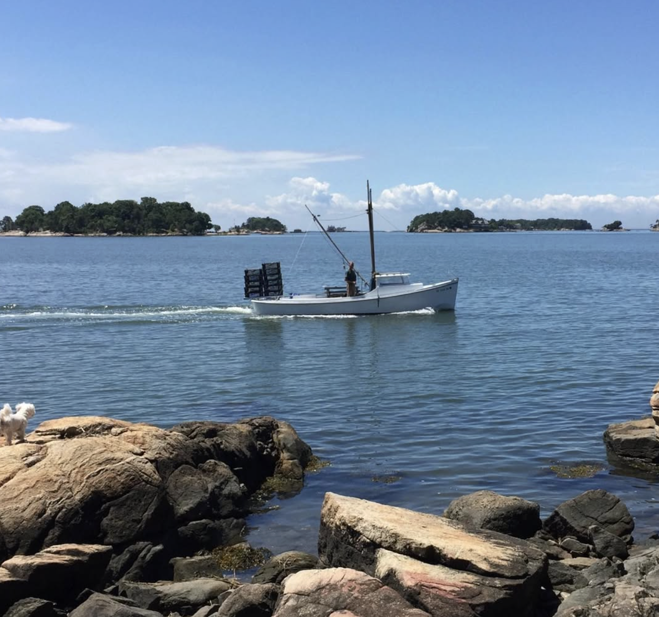 Screenshot 2026-03-30 at 10.05.53 PM.png